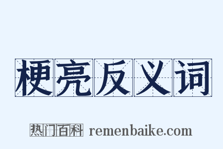 梗亮反义词是什么意思的图片